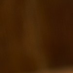 Lomo de cerdo al estilo cubano con mojo