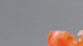 ensalada de camarones saludable