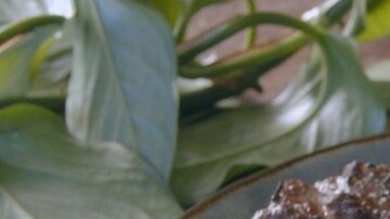 Bitoques de ternera con salsa tzatziki