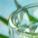 ensalada de pollo empanizado