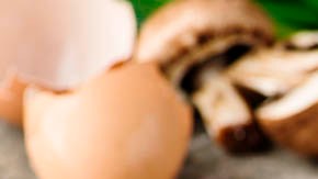 omelette con champiñones y queso