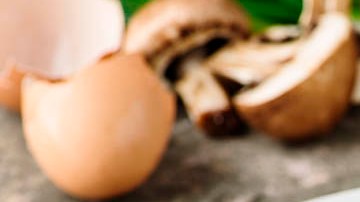 omelette con champiñones y queso