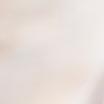 pasta con salmón y espinacas