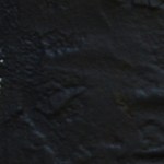 Lomo de cerdo mechado