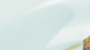 Lomo de cerdo marinado en vino tinto