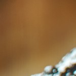 Lomo de cerdo glaseado con sirope de arce