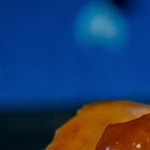 Lomo de cerdo relleno de hongos silvestres