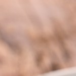 Lomo de cerdo envuelto en hojaldre