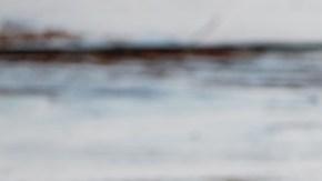 Pan de ajo en airfryer