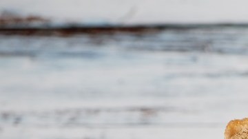 Pan de ajo en airfryer