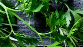 Lomo de cerdo con costra de pimienta y limón