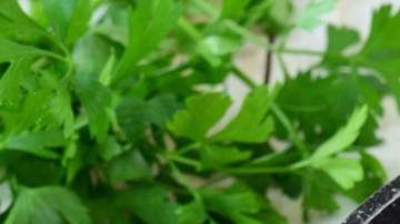 higado en salsa de champiñones