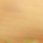 Pimientos rellenos de carne en Airfryer