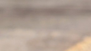 Verduras mixtas en Airfryer