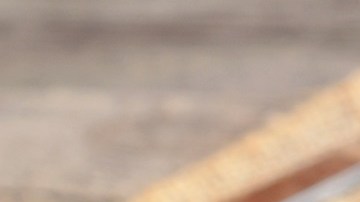 Verduras mixtas en Airfryer