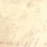 higado en salsa de vino tinto