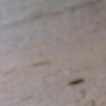 guayaba y queso feta