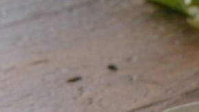 guayaba y queso feta