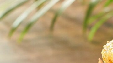 hot cakes de harina maíz con dedos de pollo frito