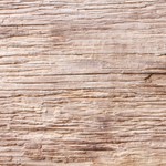 Lomo de cerdo con salsa de tejocote