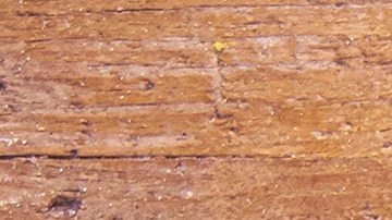 Tarta de queso sin horno