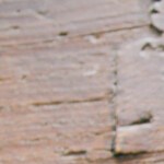 Photo © 2019 The Grosby Group Food Division
Crazy Apples
sweet
2 tbsp of caramel
1 squirt of milk
cut an apple like a mouth
add caramel inside, put marshmallows as if it were some
teeth and muesli on the other apple
add fondant eyes
add more caramel