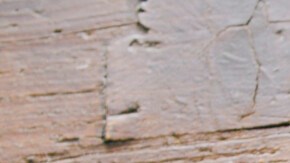 Photo © 2019 The Grosby Group Food Division

Crazy Apples  

sweet
2 tbsp of caramel  
1 squirt of milk

cut an apple like a mouth

add caramel inside, put marshmallows as if it were some
teeth and muesli on the other apple

add fondant eyes

add more caramel