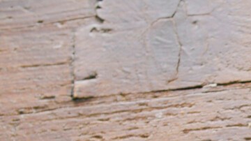 Photo © 2019 The Grosby Group Food Division

Crazy Apples  

sweet
2 tbsp of caramel  
1 squirt of milk

cut an apple like a mouth

add caramel inside, put marshmallows as if it were some
teeth and muesli on the other apple

add fondant eyes

add more caramel