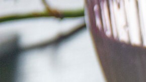 lasaña de berenjenas vegetariana