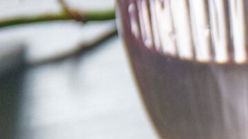 lasaña de berenjenas vegetariana