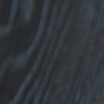 enchiladas de chorizo