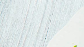 ensalada de gambas con lechuga