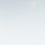 Lomo de cerdo estofado con verduras