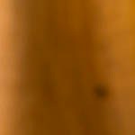 sandwich de pollo al curry