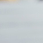 tostadas de camarón