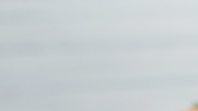 tostadas de camarón