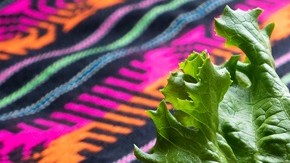 enchiladas queretanas