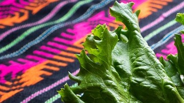 enchiladas queretanas