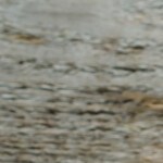 Lomo de cerdo con chile ancho