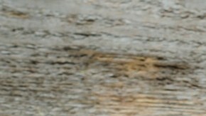 Lomo de cerdo con chile ancho