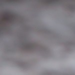 vinagreta balsámica casera