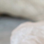 Wrap de pollo al pesto