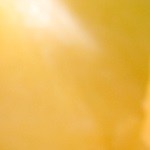 Lomo de cerdo horneado con salsa de ciruelas