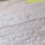 Mousse de chocolate y aguacate