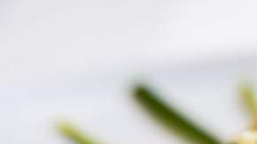 Risotto de calabacín y queso feta