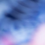 Tostadas de cochinita pibil