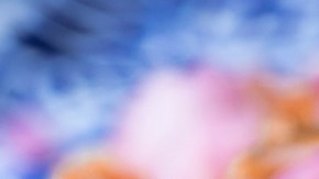 Tostadas de cochinita pibil