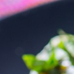 Tamales de rajas con queso