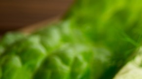 Wrap de champiñones y espinacas