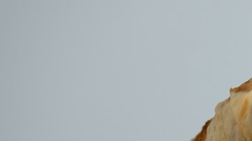 Wrap de pulled chicken